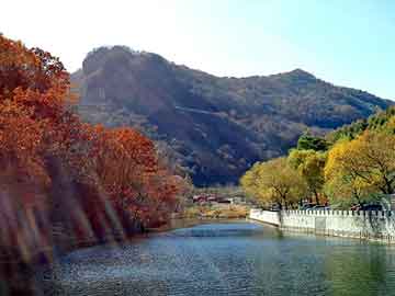 管家婆黑白马报图库，喘速康